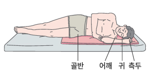 측두, 귀, 어깨 골반