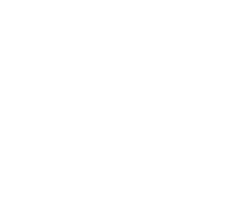 드레싱 반창고 & 롤